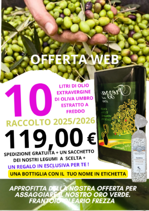 OFFERTA DELLA SETTIMANA 10 litri di olio E.V.O